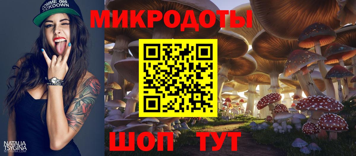 Галлюциногенные грибы GOLDEN TEACHER  Галлюциногенные грибы прущие грибы  Вход с VPN  как найти   Корсаков 